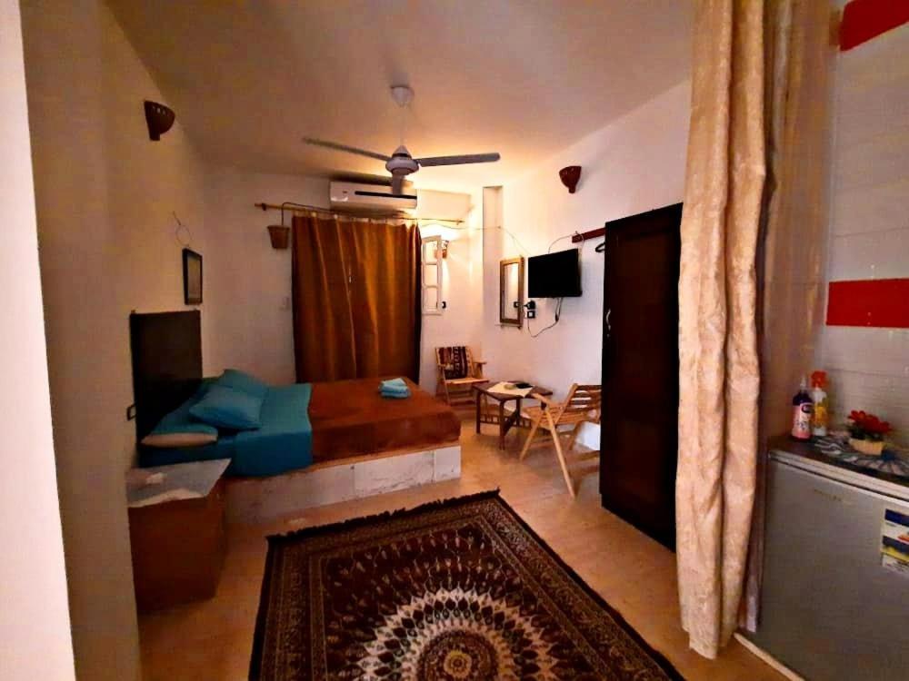 Eka Dolli Elephanten أسوان المظهر الخارجي الصورة